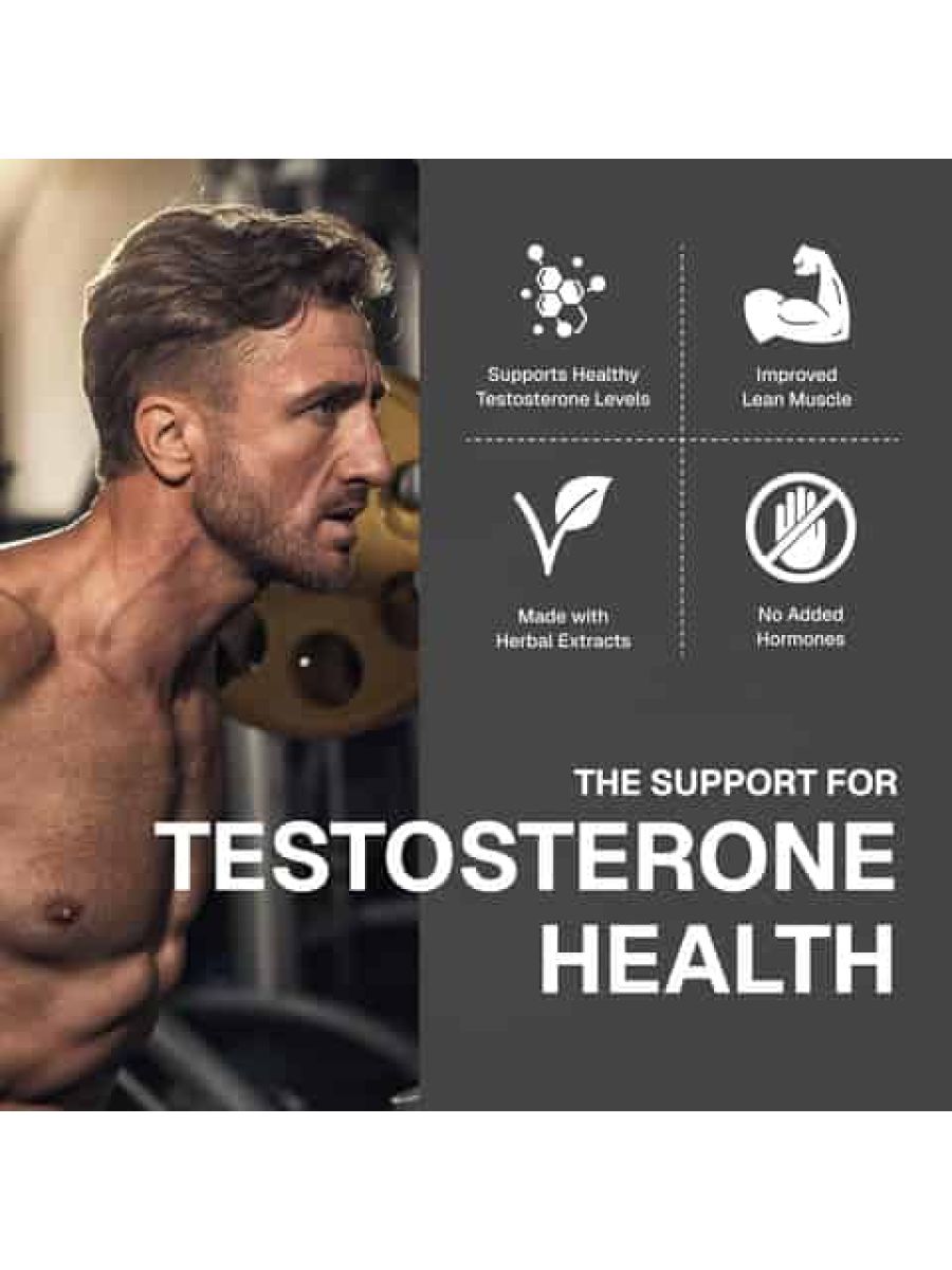 Weider Prime Testosterone Men's Support Zinc Ksm66 Enriched with Vitamins & Mineral 120 Caps ürün görseli - FC PROTEİN MARKET
